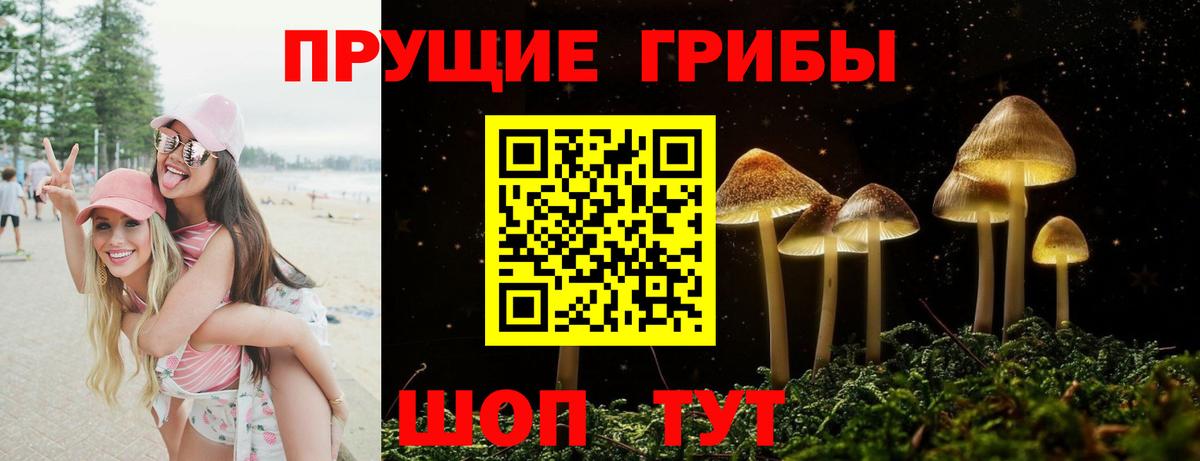 Дзержинск  Галлюциногенные грибы мицелий  Вход с VPN 